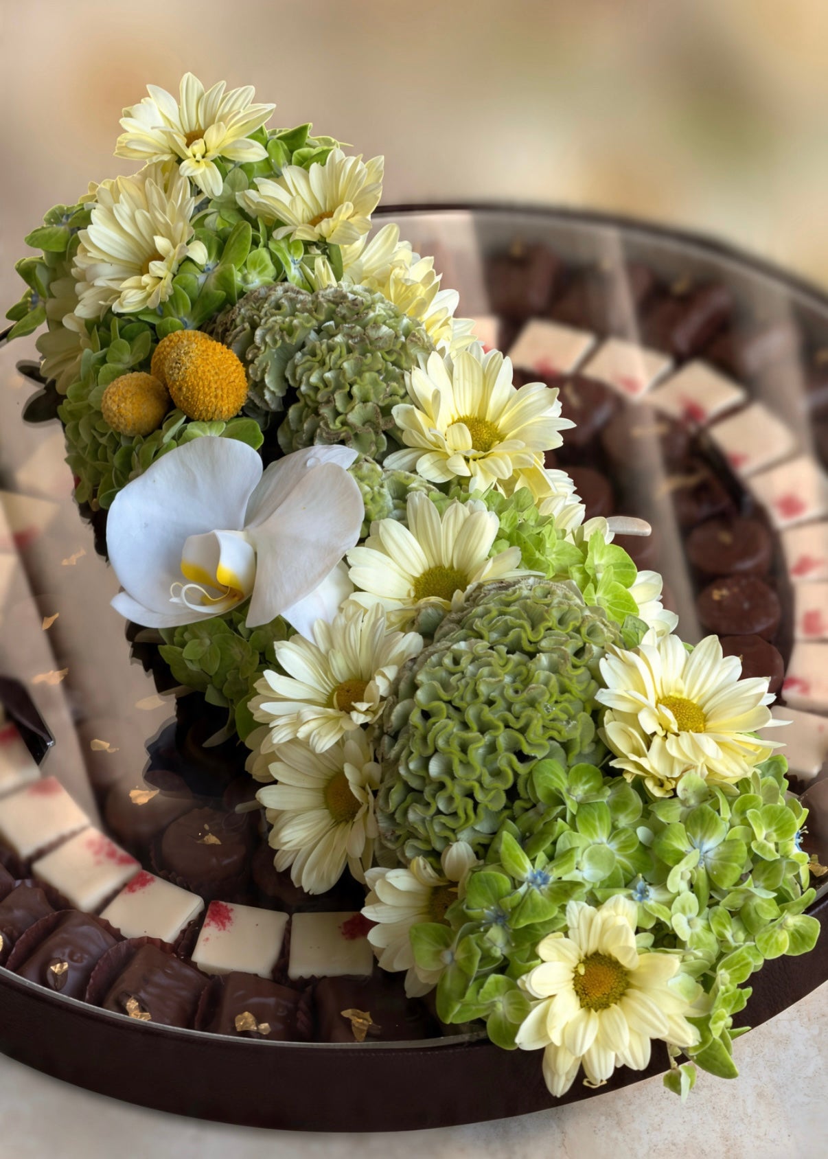 Verdant Chocolate Garden