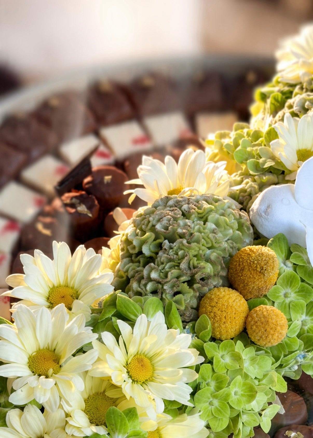 Verdant Chocolate Garden